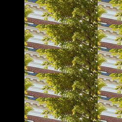 bezorgrestaurants in Noardeast-Fryslân