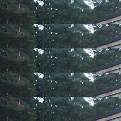 bezorgrestaurants in Holten