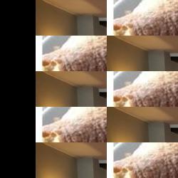 bezorgrestaurants in Raamsdonksveer