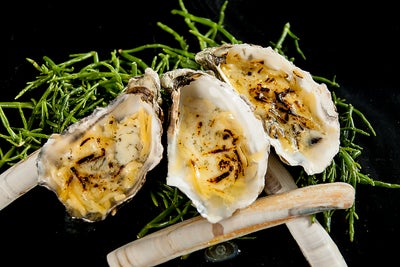 Oesterwijf en Den Bosch