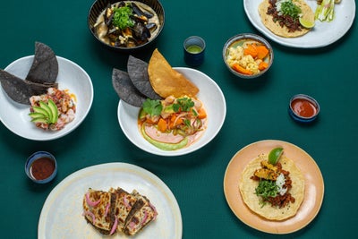 Ruiseñor en Den Haag