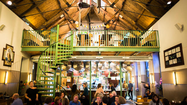 Poesiat & Kater en Amsterdam