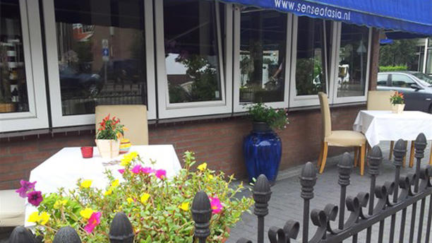 Sense of Asia en Haarlem